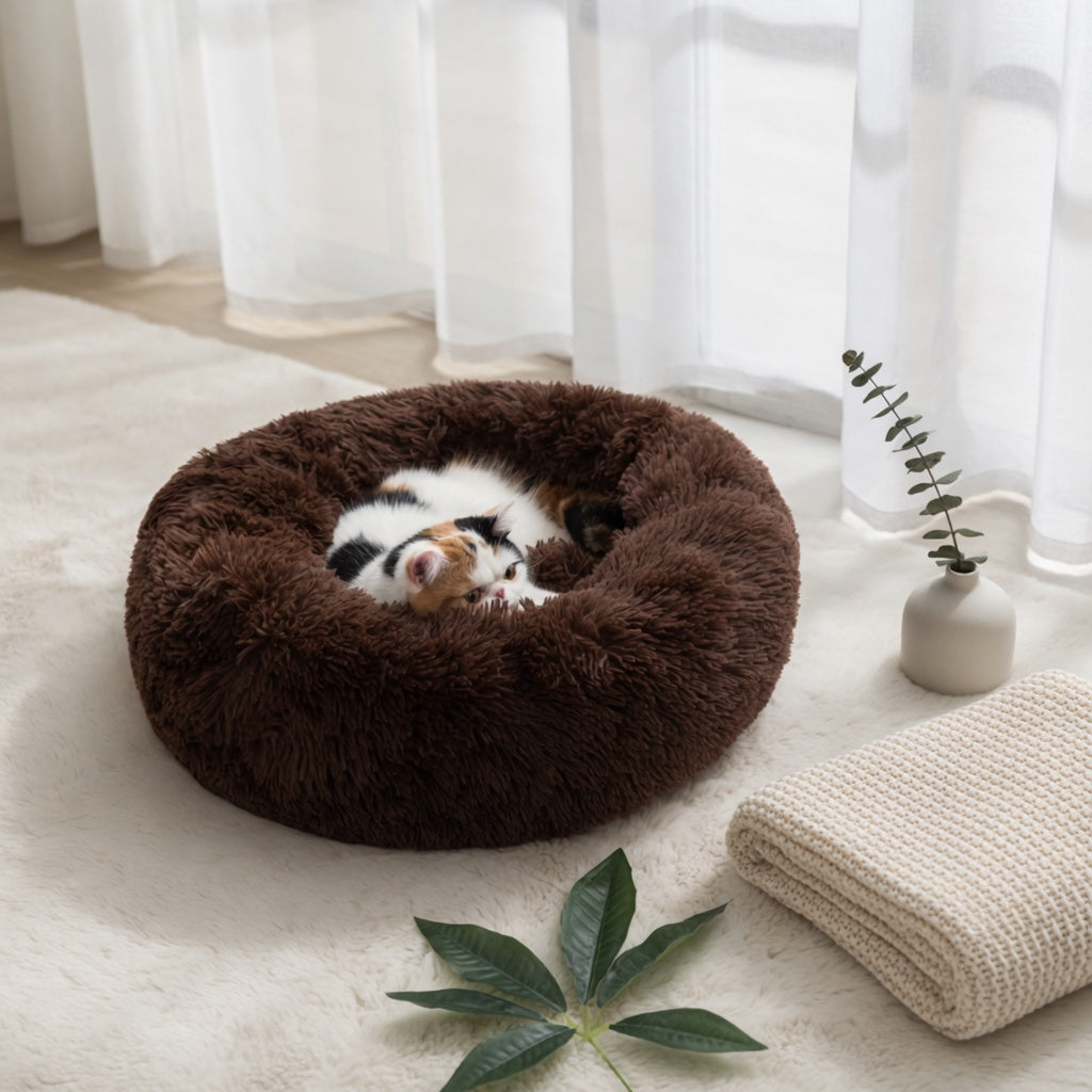 A calm spot in your home, for your pet